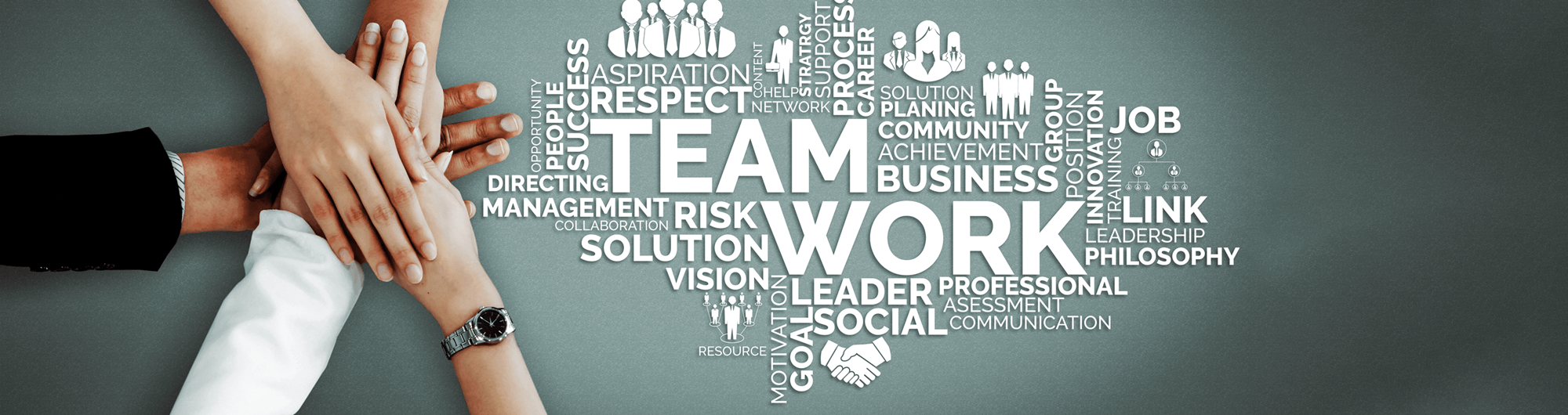 Our Team